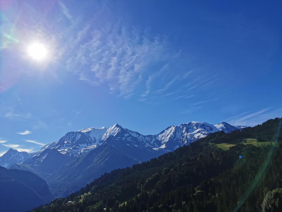 Duo Des Alpages Vue Exceptionnelle Sur Le Mont Blc Leilighet Saint-Gervais-les-Bains Eksteriør bilde