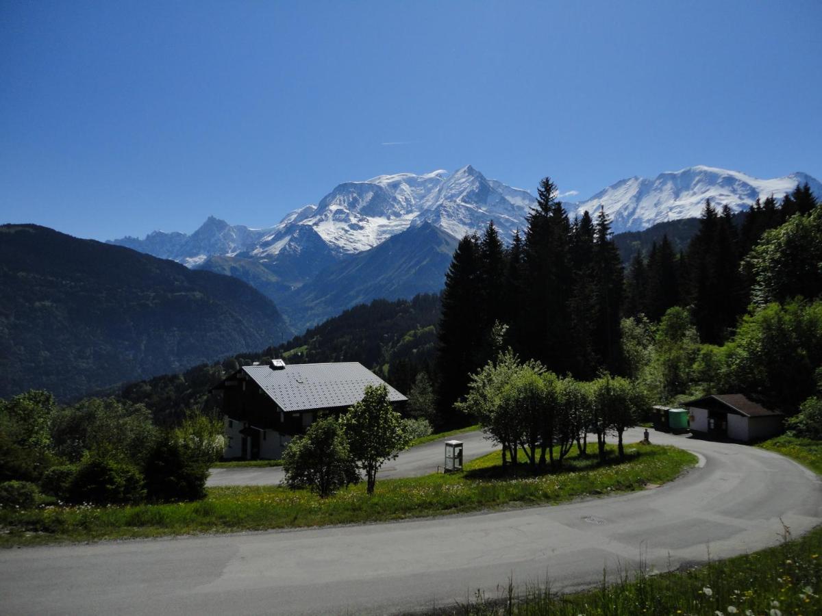 Duo Des Alpages Vue Exceptionnelle Sur Le Mont Blc Leilighet Saint-Gervais-les-Bains Eksteriør bilde