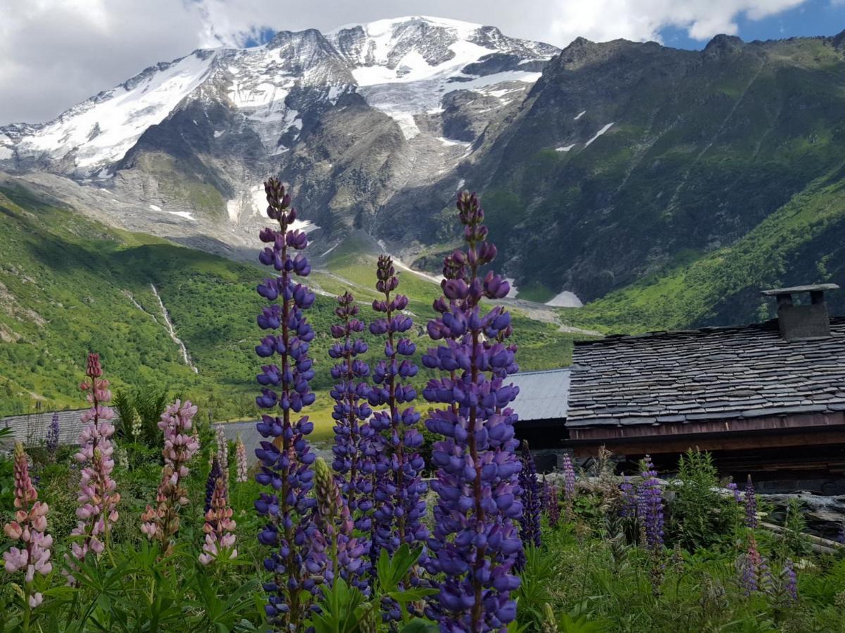 Duo Des Alpages Vue Exceptionnelle Sur Le Mont Blc Leilighet Saint-Gervais-les-Bains Eksteriør bilde