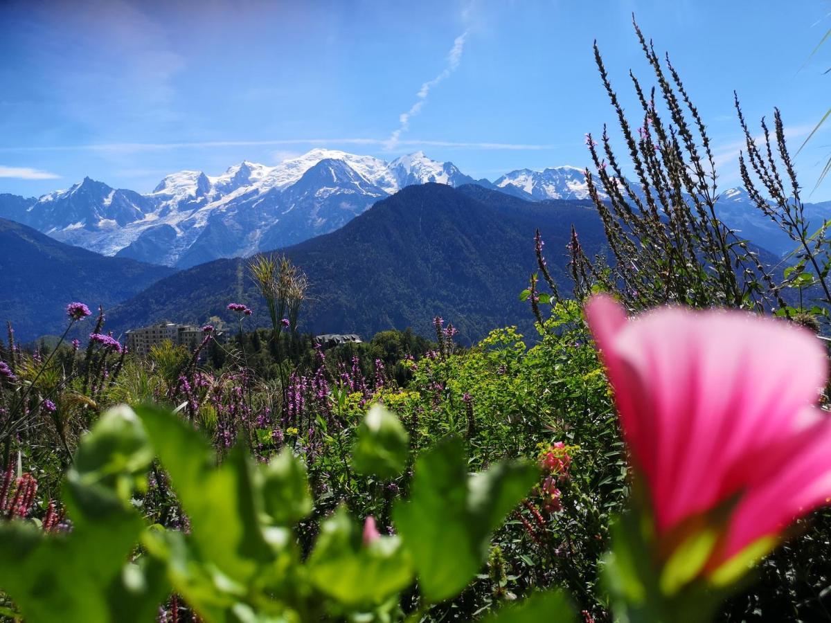 Duo Des Alpages Vue Exceptionnelle Sur Le Mont Blc Leilighet Saint-Gervais-les-Bains Eksteriør bilde
