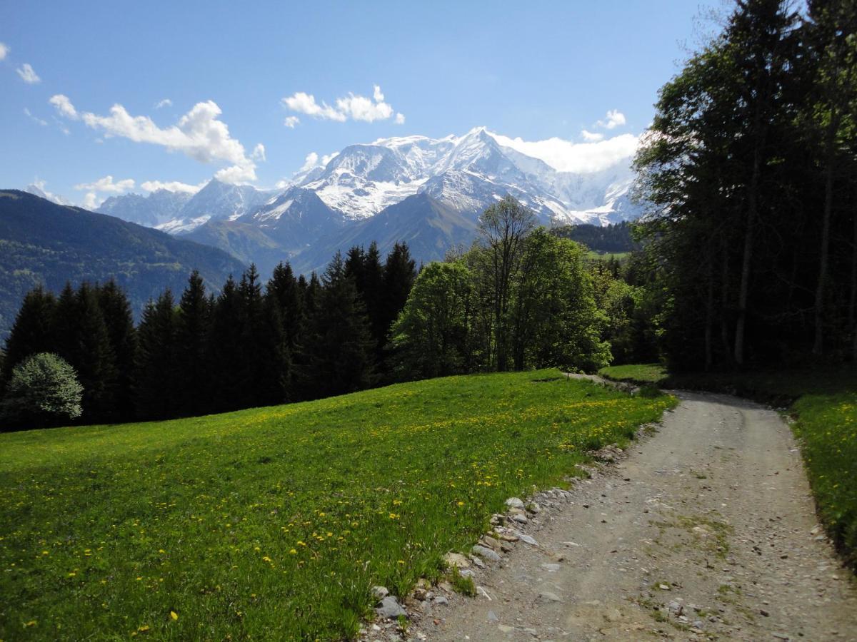 Duo Des Alpages Vue Exceptionnelle Sur Le Mont Blc Leilighet Saint-Gervais-les-Bains Eksteriør bilde