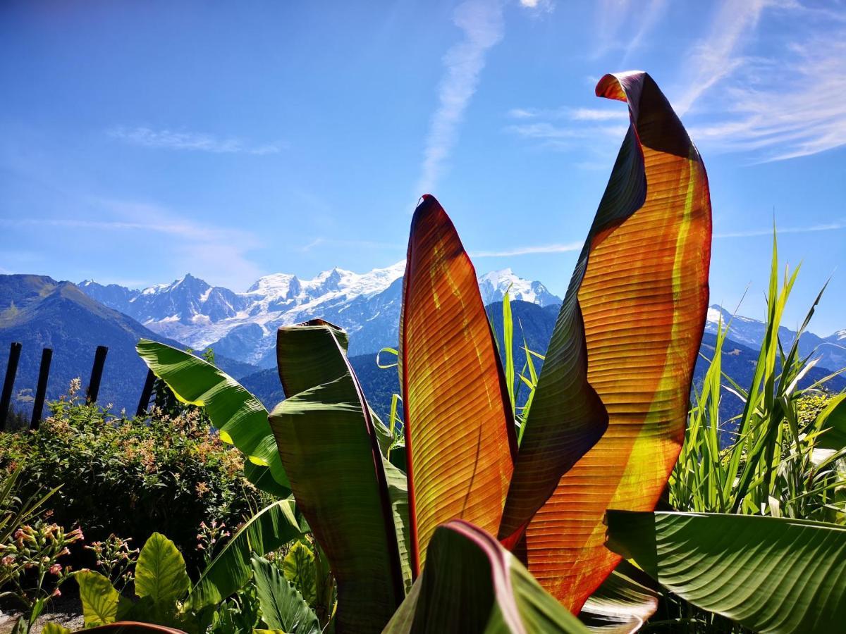 Duo Des Alpages Vue Exceptionnelle Sur Le Mont Blc Leilighet Saint-Gervais-les-Bains Eksteriør bilde