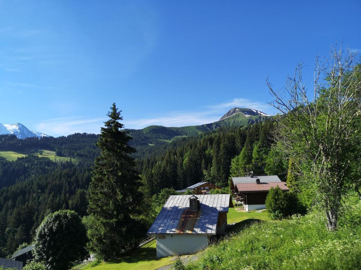 Duo Des Alpages Vue Exceptionnelle Sur Le Mont Blc Leilighet Saint-Gervais-les-Bains Eksteriør bilde